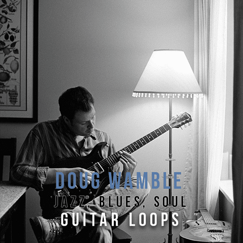 The Loop Loft Loop Pack Doug Wamble - Jazz, Blues & Soul Guitar Loops