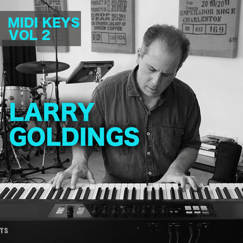 The Loop Loft Loop Pack Larry Goldings MIDI Keys Vol 2