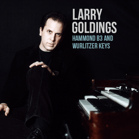 The Loop Loft Loop Pack Larry Goldings Vintage Keys